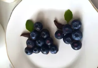 Десерт из голубики и мятного шоколада